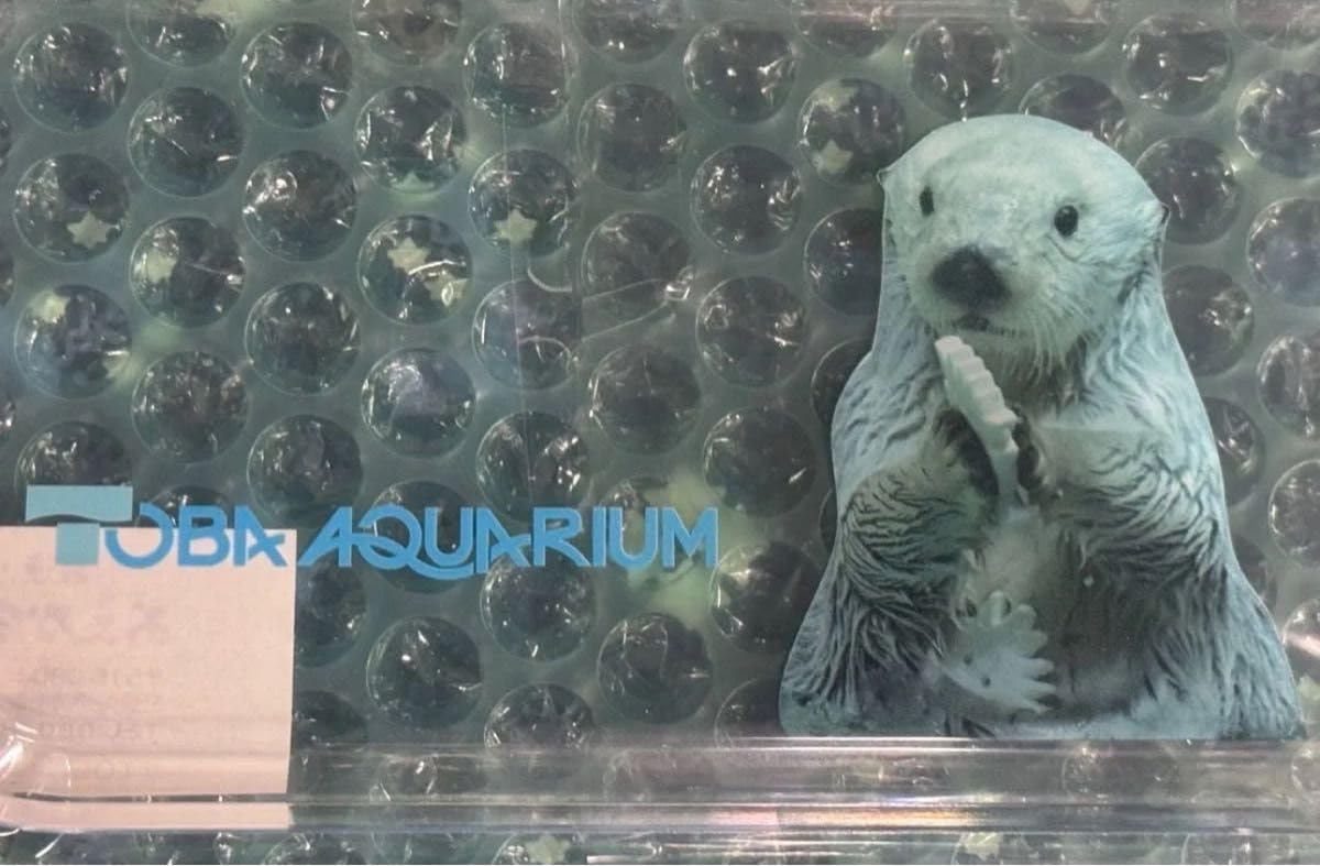 Amazon.co.jp: 鳥羽水族館 マルチトレー ラッコ メイちゃん 貝の